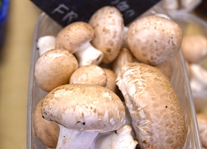 Nos champignons de Paris produits à la ferme